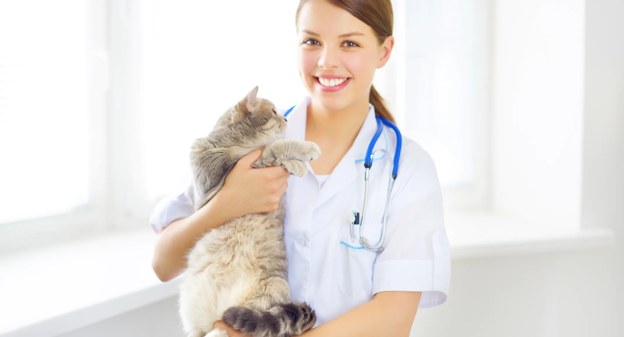 Female Veterinarian holding a fluffy grey tabby cat while smiling at the camera. 